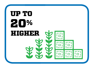 yield chart